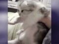 РАЗДАВАТЬ БУДЕШЬ